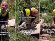 MP pede condenação de Inspetor Alberto por injúria eleitoral contra Evandro Leitão e maus-tratos a animal