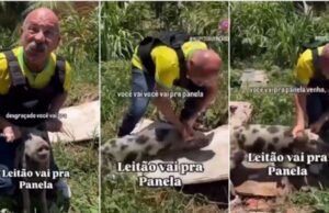 MP pede condenação de Inspetor Alberto por injúria eleitoral contra Evandro Leitão e maus-tratos a animal