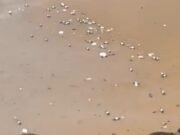 “Pega sua garrafa e coloca no lixo. Você tem mão pra isso”, diz jornalista ao ver garrafas pet na Praia de Iracema após corrida