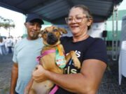 Pet Ceará Móvel tem atendimento ampliado para realizar até 200 castrações por dia