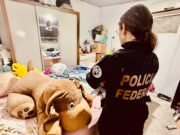 Operação da PF combate abuso sexual de crianças e adolescentes no Ceará