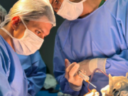 Hospital Regional do Sertão Central possibilita reabilitação de pacientes vítimas de neurotraumas