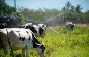 PIB do Ceará cresce 4,18% no primeiro trimestre de 2025, acima da média nacional