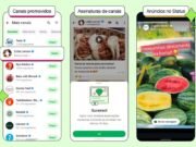 WhatsApp vai exibir anúncios para usuários e terá canais pagos