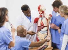 Um terço dos cursos de Medicina no Brasil falha na avaliação oficial: alerta grave para a saúde pública