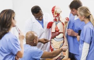 Instituto de Educação Médica abre inscrições para bolsas integrais do Programa Mais Médicos em Quixadá, Iguatu e Canindé