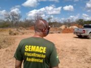 Indústria de laticínios de Jaguaretama é embargada por operar sem licença e usar madeira ilegal