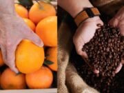 Tarifa dos EUA sobre produtos brasileiros ameaça exportações de café, suco de laranja, carne bovina e frutas frescas