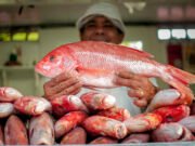 Governo do Ceará estuda compra direta de produtos locais para reduzir impactos do tarifaço dos EUA, informa Elmano