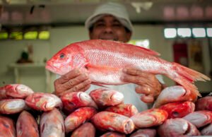 Governo do Ceará estuda compra direta de produtos locais para reduzir impactos do tarifaço dos EUA, informa Elmano