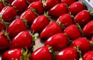 “Morango do amor” pode causar danos aos dentes, alerta Conselho Federal de Odontologia