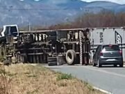 Motorista sofre ataque de abelhas, perde controle de caminhão e tomba veículo no Ceará