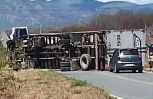 Motorista sofre ataque de abelhas, perde controle de caminhão e tomba veículo no Ceará
