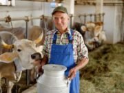 XIX Encontro Nordestino do Leite transforma Quixadá na capital do agronegócio lácteo