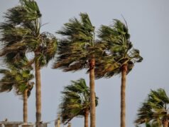 Começa temporada de ventos fortes no Ceará, com rajadas que podem chegar a 60 km/h
