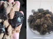 Manchas de óleo aparecem em praias da Grande Fortaleza; material é recolhido para análise