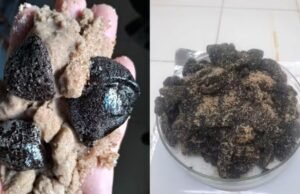 Manchas de óleo aparecem em praias da Grande Fortaleza; material é recolhido para análise