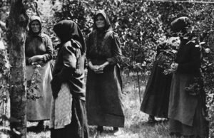 O povoado na Hungria onde dezenas de mulheres mataram seus maridos