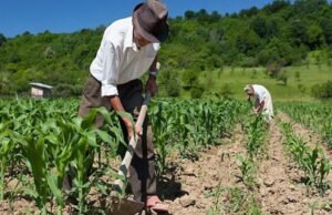 CPMI do INSS vai investigar descontos que afetaram agricultores familiares