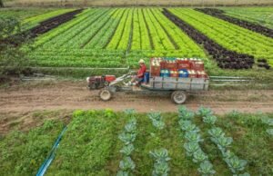 Lula assina medida provisória que libera R$ 12 bilhões para renegociação de dívidas de produtores rurais