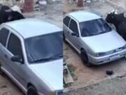 Boi descontrolado invade casa e destrói carro na zona rural de Juazeiro do Norte