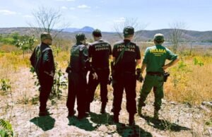 PF realiza operação no Cariri contra crimes ambientais em unidades de conservação federais