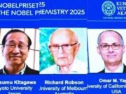 Trio ganha Nobel de Química por criar “bolsa da Hermione” molecular que captura água do ar e CO2