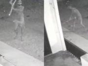 Homem é procurado por matar cachorro a pauladas em Jaguaretama; crime foi flagrado por câmeras de segurança