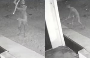 Homem é procurado por matar cachorro a pauladas em Jaguaretama; crime foi flagrado por câmeras de segurança