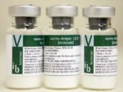 Brasil inicia em dezembro aplicação da primeira vacina de dose única contra dengue produzida no país