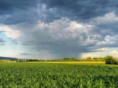 Mudanças climáticas elevam riscos e desafiam rentabilidade no campo