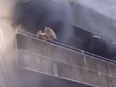 Mulher salva dois cães jogando-os pela janela durante incêndio em prédio antes de ser resgatada