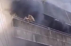 Mulher salva dois cães jogando-os pela janela durante incêndio em prédio antes de ser resgatada