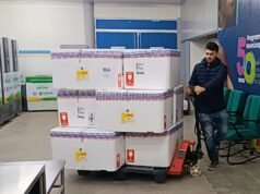 Ceará recebe doses da vacina contra o vírus sincicial respiratório e inicia distribuição