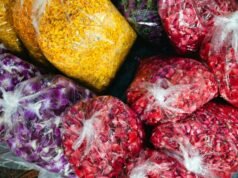 Com apoio do Instituto Pacto Contra a Fome, Governo do Ceará conquista R$ 800 mil do MDS para reduzir desperdício de alimentos e fortalecer segurança alimentar