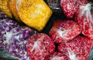 Com apoio do Instituto Pacto Contra a Fome, Governo do Ceará conquista R$ 800 mil do MDS para reduzir desperdício de alimentos e fortalecer segurança alimentar