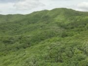 Governo do Estado cria cinco novas unidades de conservação na Caatinga cearense