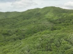 Governo do Estado cria cinco novas unidades de conservação na Caatinga cearense