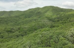 Governo do Estado cria cinco novas unidades de conservação na Caatinga cearense