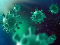 Caso de gripe K é identificado no Brasil e reforça alerta para vacinação e cuidados preventivos, alerta Dr. Ernando Sousa