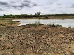 Ceará registra maior índice de seca grave em quase seis anos, aponta Monitor de Secas