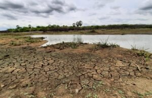 Ceará registra maior índice de seca grave em quase seis anos, aponta Monitor de Secas