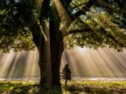 Existir é um verbo intransferível