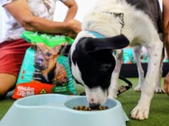 “Governador Elmano revoluciona a política de proteção animal no Ceará”, afirma Acrísio Sena