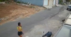 Pitbull foge de residência e ataca jovem e três cães em via pública de Ubajara