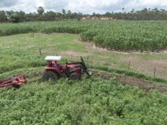 Prefeito de Banabuiú anuncia calendário do programa Hora de Arar para fortalecer agricultura local