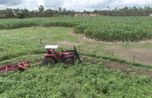 Prefeito de Banabuiú anuncia calendário do programa Hora de Arar para fortalecer agricultura local