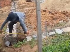 Associação São Lázaro inicia construção de lar temporário e mobiliza comunidade em defesa da causa animal