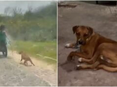 Polícia prende casal flagrado arrastando cão amarrado em motocicleta em Camocim