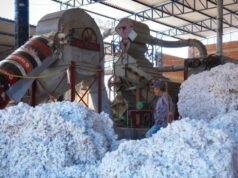 Transnordestina reduzirá custos e abrirá novos mercados para produtores do Cariri